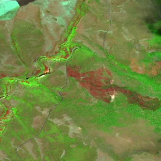 Loomis Fire (California) — Sentinel-2 SWIR (fuego)