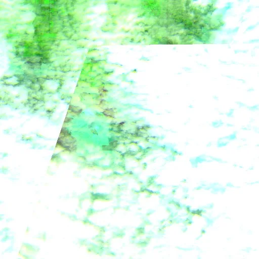 Lower Dry Creek Mutual Aid Fire (OR) — Sentinel-2 SWIR (fuego)