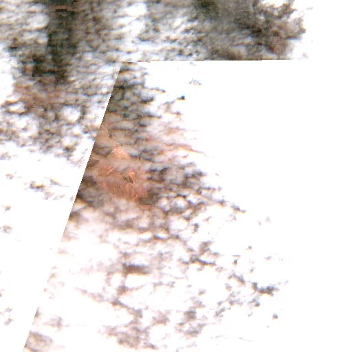 Lower Dry Creek Mutual Aid Fire (OR) — Sentinel-2 true color