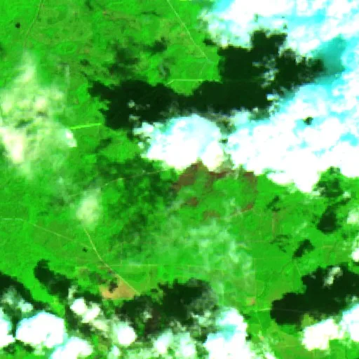 Mailbox Fire (Florida) — Sentinel-2 SWIR (fuego)