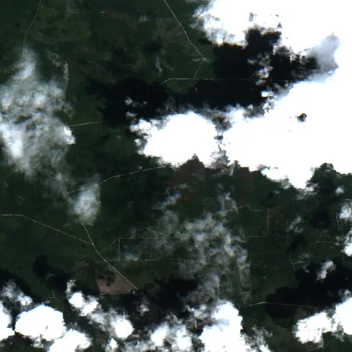 Mailbox Fire (Florida) — Sentinel-2 true color