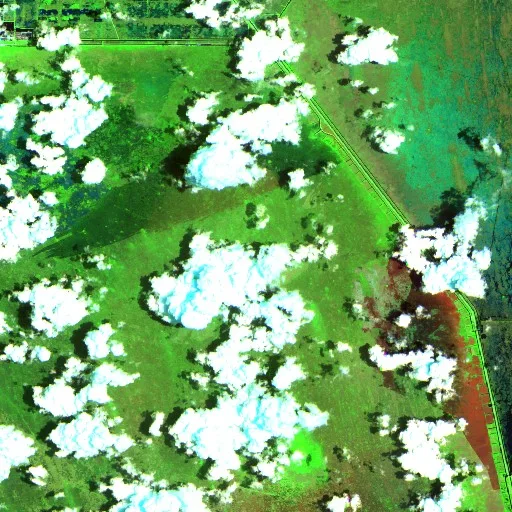 Mile Marker 40- Broward (06) Fire (Florida) — Sentinel-2 SWIR (fuego)