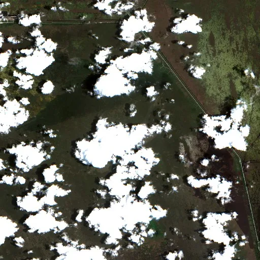 Mile Marker 40- Broward (06) Fire (Florida) — Sentinel-2 true color