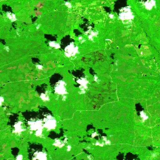 Mill Pond Fire (Florida) — Sentinel-2 SWIR (fuego)