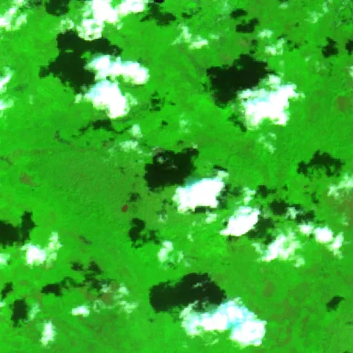 Mitchell Fire (GA) — Sentinel-2 SWIR (fuego)