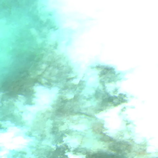 Incendio Mitchell Springs (Oregon) — Sentinel-2 SWIR (fuego)