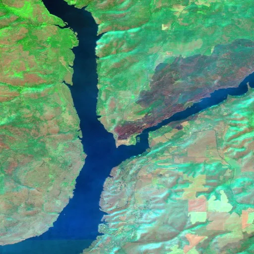 Mitre Rock Fire (Washington) — Sentinel-2 SWIR (fuego)
