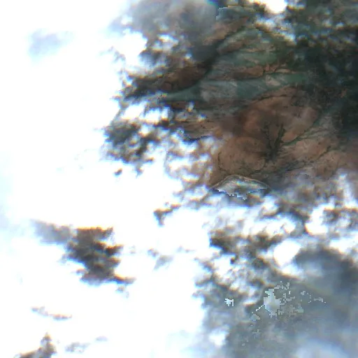 Incendio Mm81 Hwy55 (ID) — Sentinel-2 true color