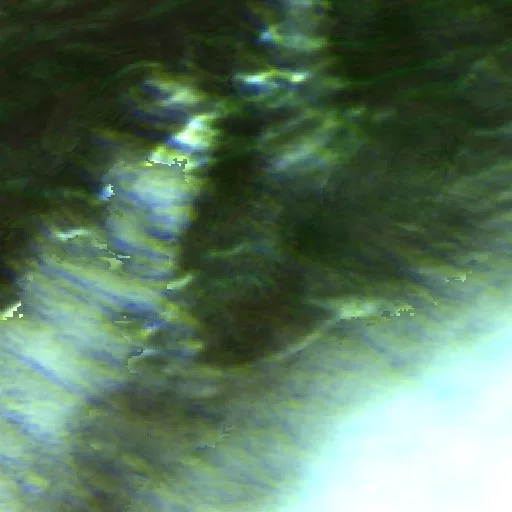 Moonshine Fire (Wyoming) — Sentinel-2 SWIR (fuego)
