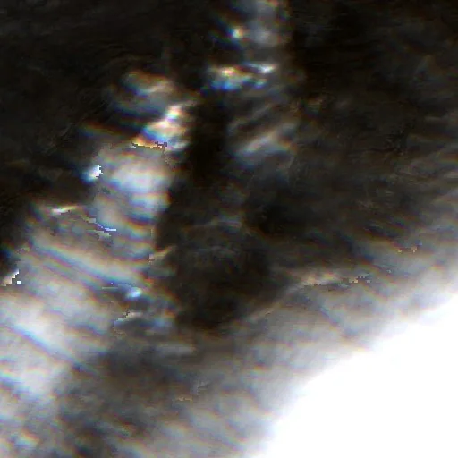 Moonshine Fire (Wyoming) — Sentinel-2 true color