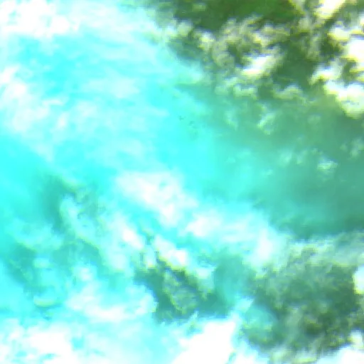 Moore Canyon Fire (Texas) — Sentinel-2 SWIR (fuego)