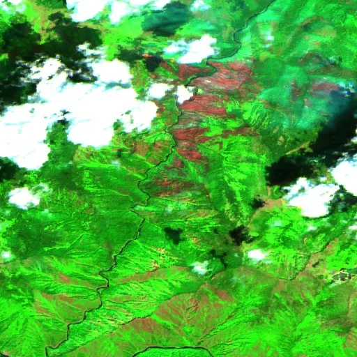 Moose Mountain Fire (ID) — Sentinel-2 SWIR (fuego)