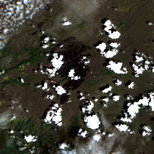 Movie Dome Fire (Florida) — Sentinel-2 true color