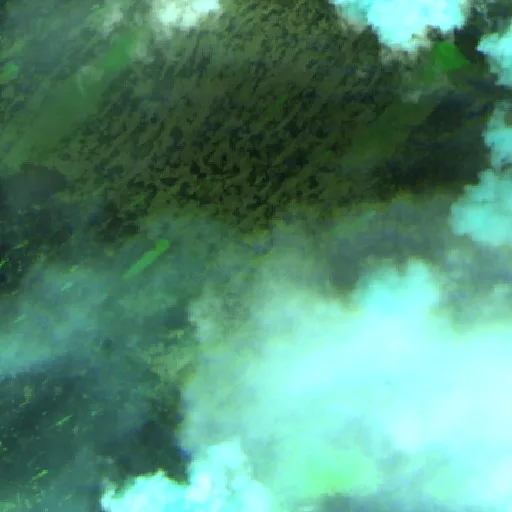 Movie Dome Fire (Florida) — Sentinel-2 SWIR (fuego)