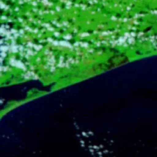 Mud Bayou Fire (Texas) — NASA satellite