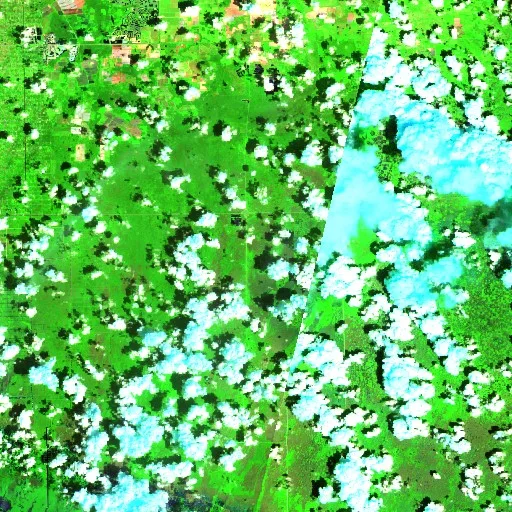 National Fire (Florida) — Sentinel-2 SWIR (fuego)