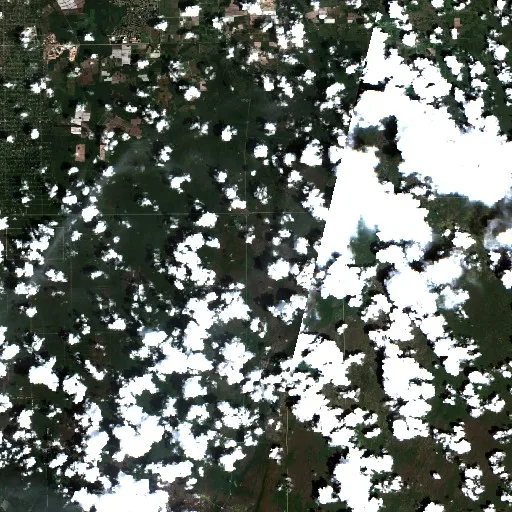 National Fire (Florida) — Sentinel-2 true color