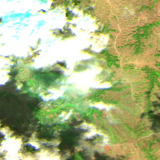 Needles Fire (South Dakota) — Sentinel-2 SWIR (fuego)