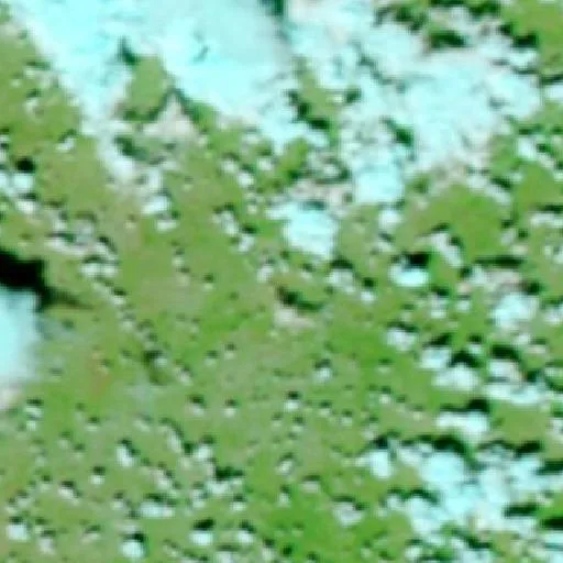 Incendio Nethery (Texas) — NASA satellite