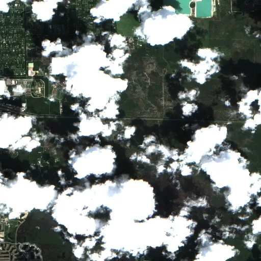 Newman Dr Fire (Florida) — Sentinel-2 true color