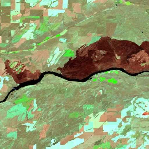 Nunamaker Road Fire (Washington) — Sentinel-2 SWIR (fuego)