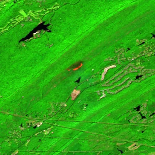 Incendio Oak Mountain State Park (Alabama) — Sentinel-2 SWIR (fuego)