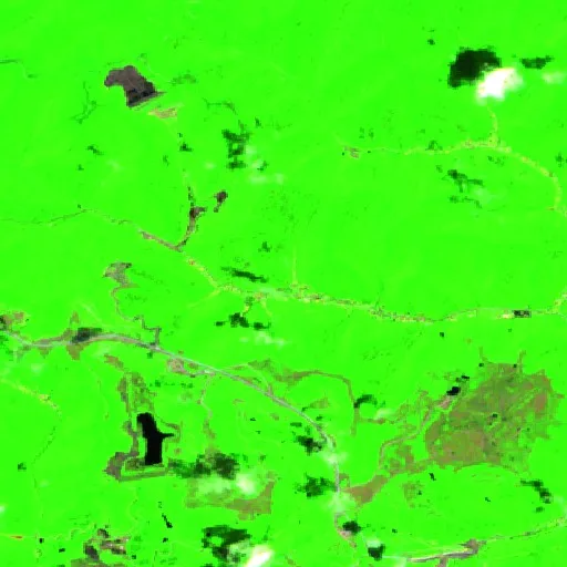 Incendio Old House Branch (WV) — Sentinel-2 SWIR (fuego)