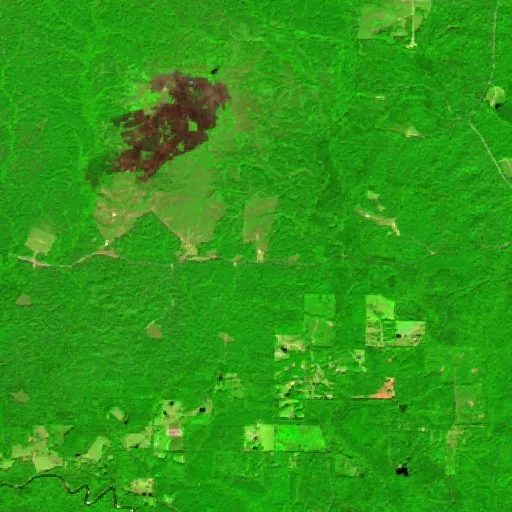 Incendio South Tank Trail (Mississippi) — Sentinel-2 SWIR