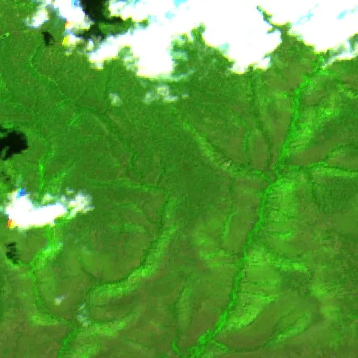 Incendio Paddy Creek (Arizona) — Sentinel-2 SWIR (fuego)