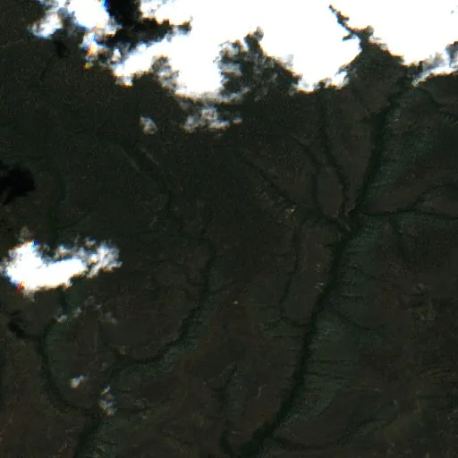 Incendio Paddy Creek (Arizona) — Sentinel-2 true color