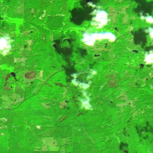 Incendio Panola - Blue Room Rd (Mississippi) — Sentinel-2 SWIR (fuego)