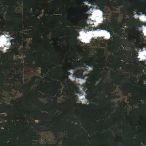 Incendio Panola - Blue Room Rd (Mississippi) — Sentinel-2 true color