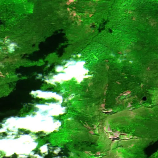 Parker Lake Fire (Idaho) — Sentinel-2 SWIR (fuego)