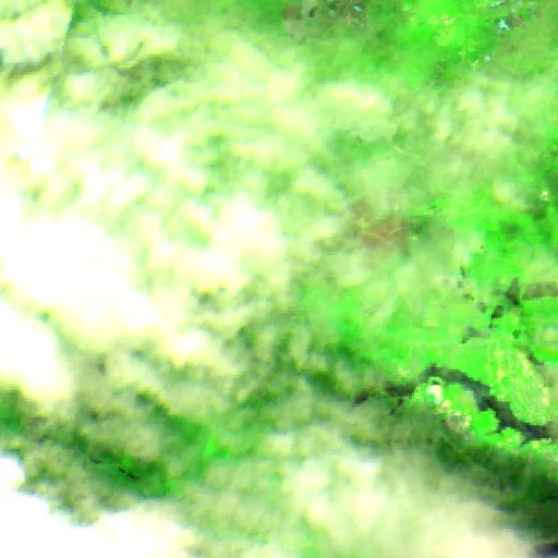 Quarry Road Fire (NC) — Sentinel-2 SWIR (fuego)