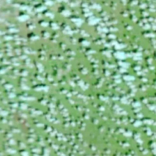 Rafter 4B Fire (Texas) — NASA satellite