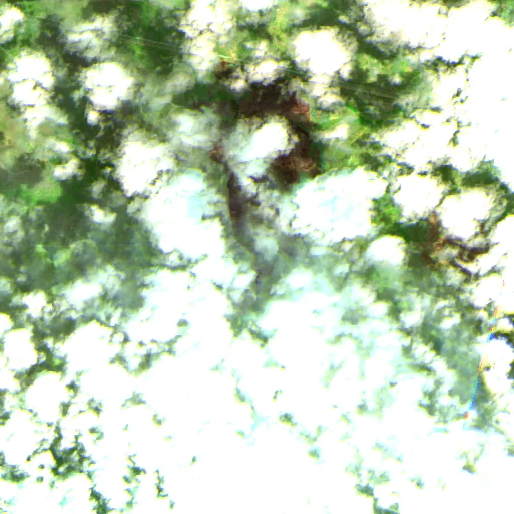 Incendio Rafter 4B (Texas) — Sentinel-2 SWIR (fuego)