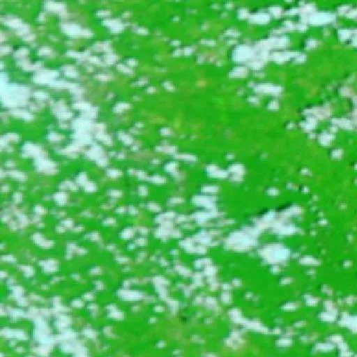 Range 39 Fire (Mississippi) — NASA satellite