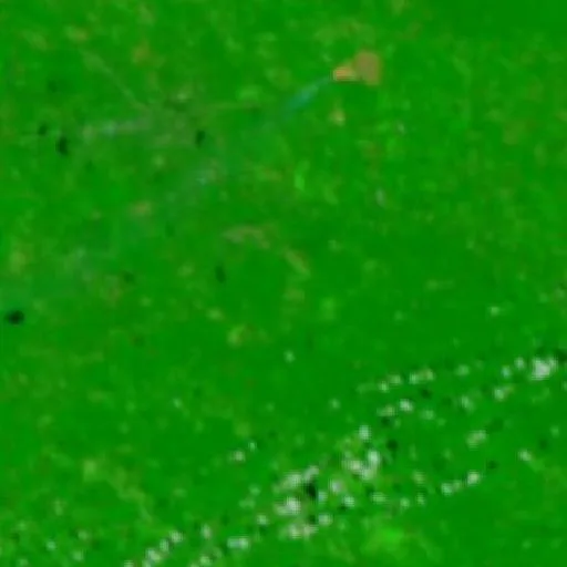 Range 42A Fire (Mississippi) — NASA satellite