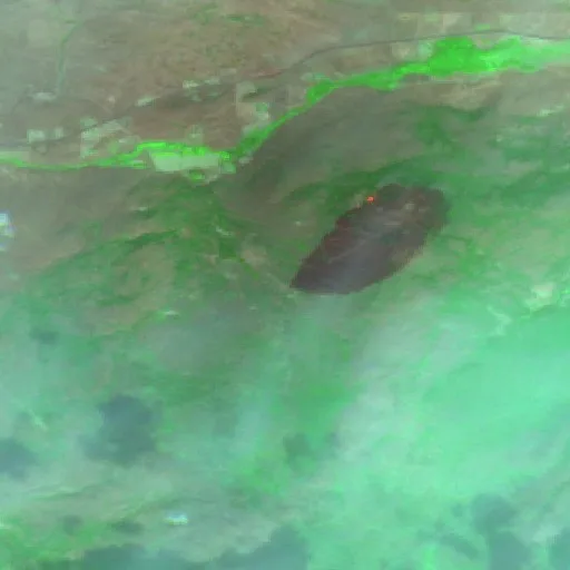 Reevas Basin Fire (Washington) — Sentinel-2 SWIR (fuego)
