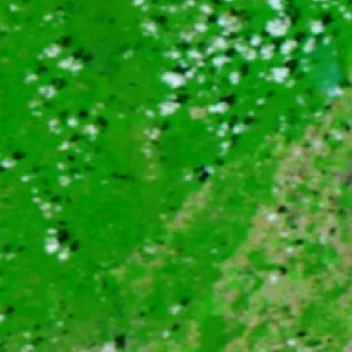Round Prarie Fire (Louisiana) — NASA satellite
