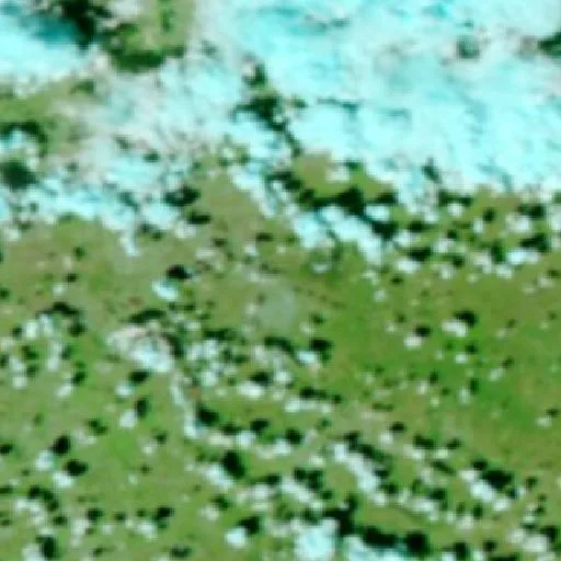 Incendio Rudd (Texas) — NASA satellite