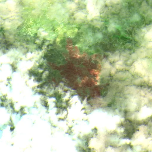 Ruftler Fire (Texas) — Sentinel-2 SWIR (fuego)