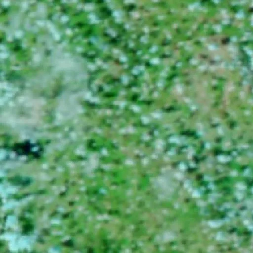 Incendio San Francisco 2 (Texas) — NASA satellite