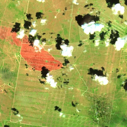 Sandy Fire (Texas) — Sentinel-2 SWIR (fuego)
