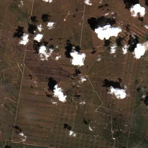 Sandy Fire (Texas) — Sentinel-2 true color