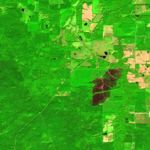 Scott - Hillsboro Ludlow Road Fire, Lena, Mississippi (2026) — Map ...
