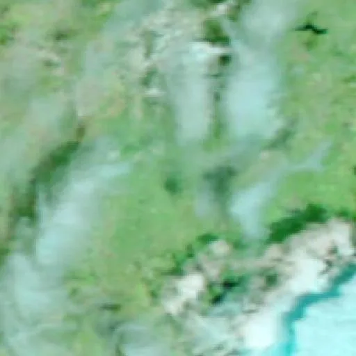 Seven Fire (Texas) — NASA satellite