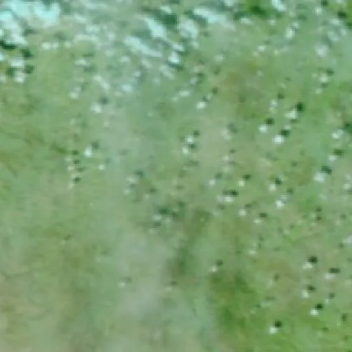 Incendio Seven Oaks (Texas) — NASA satellite
