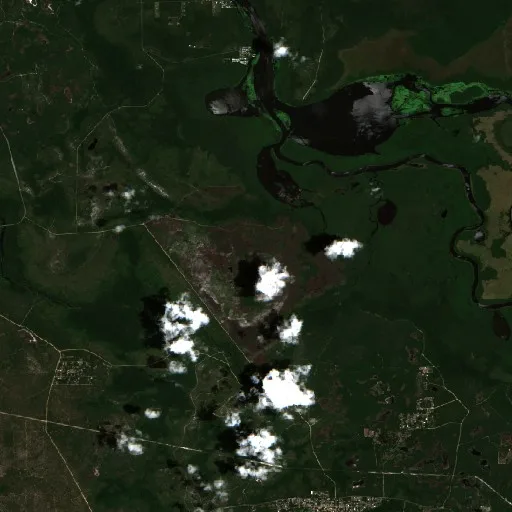 Shell Fire (FL) — Sentinel-2 true color