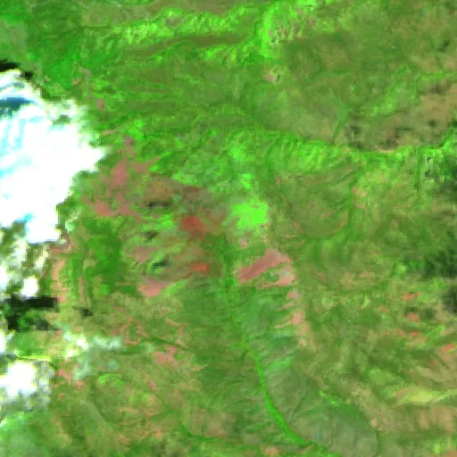 Six Mile Fire (NM) — Sentinel-2 SWIR (fuego)
